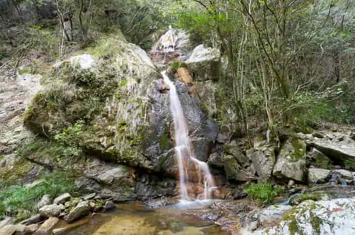 �݂������̑�